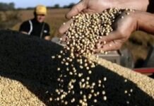 “Todavía el uso de tecnología en fertilización es bajo» en función de cerrar la brecha de rendimiento en soja