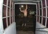 VIDEO: Un hombre ebrio cae desde un tercer piso y sorprende con su reacción