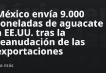 México envía 9.000 toneladas de aguacate a EE.UU. tras la reanudación de las exportaciones
