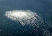 Putin comenta los llamados europeos a no castigar a quienes volaron los Nord Stream