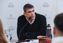 Senador peronista: “Si se aprueba el cambio a la Ley de Tierras se podrán vender glaciares y zonas fronterizas”