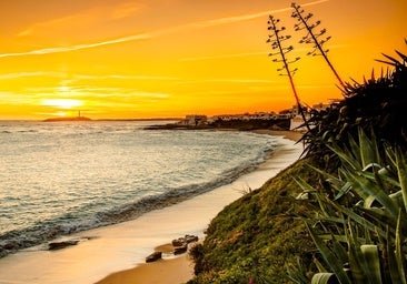 Este pueblo pesquero de Cádiz es un paraíso natural de ensueño: un pinar inmenso, acantilados y las playas más deseadas