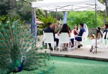 El Parque de la Biodiversidad fue testigo de la unión por civil de tres parejas